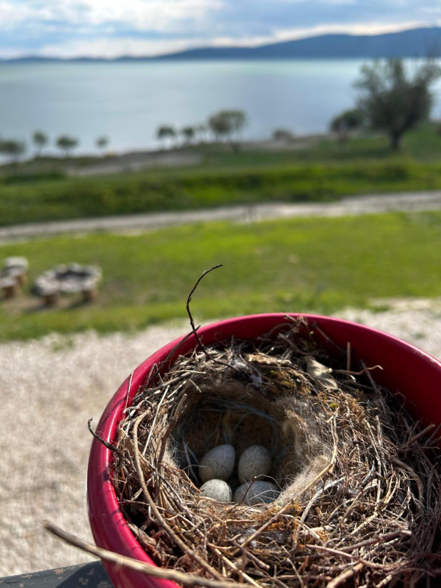 Lake House Beliz Livno Εξωτερικό φωτογραφία